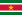 Flag of Suriname.svg